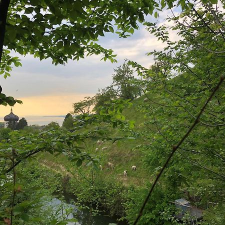 ブレゲンツHaus Am Felsen, Ferien In Vorarlberger Architekturアパートメント エクステリア 写真