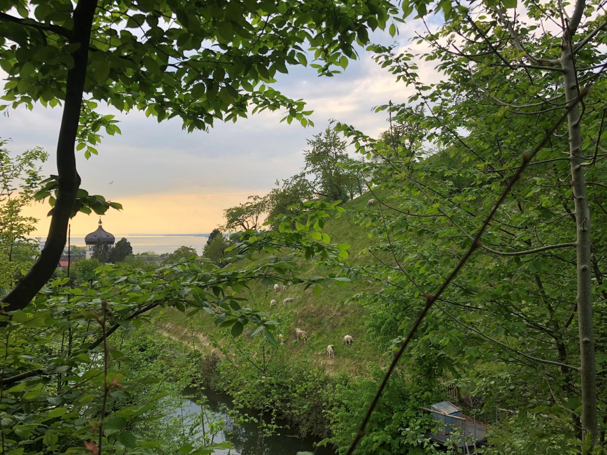 ブレゲンツHaus Am Felsen, Ferien In Vorarlberger Architekturアパートメント エクステリア 写真
